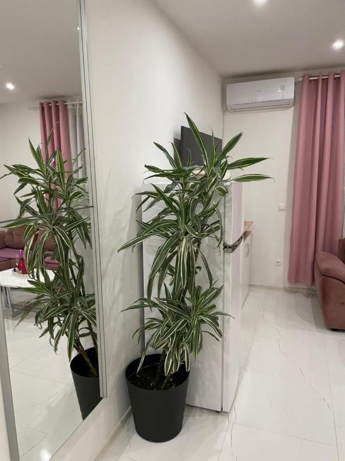 Muric Apartment *