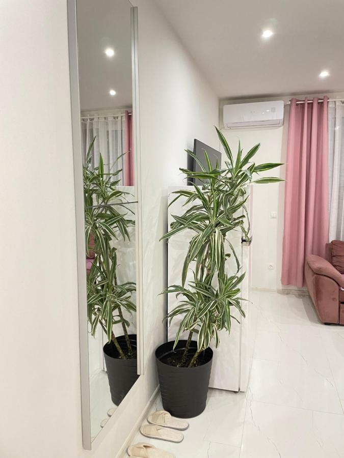Apartment Muric *
